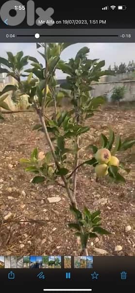 عقار للبيع في النبطية 4