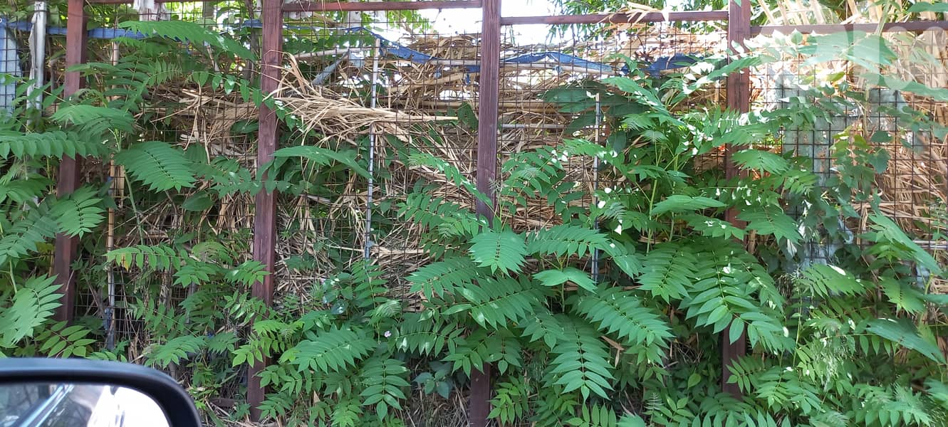 land for mauny uses for sale 640sqm in Jal El Dib 2