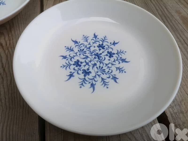 Vintage 1960 soup plates Sovirel France 1