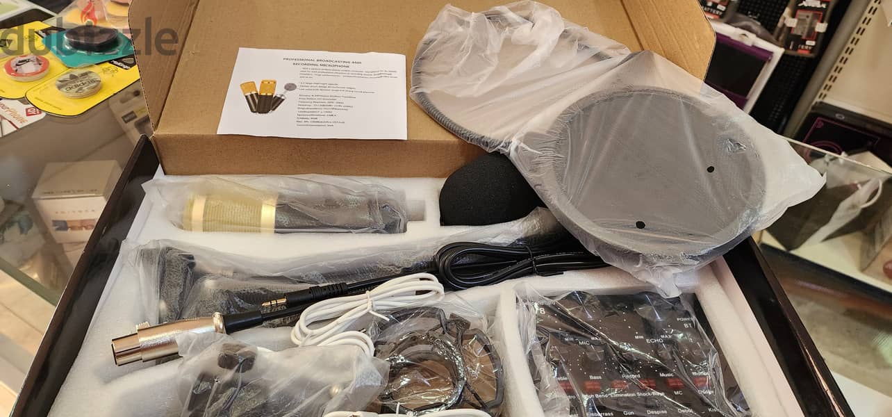 Professional Condenser Micrphone 1