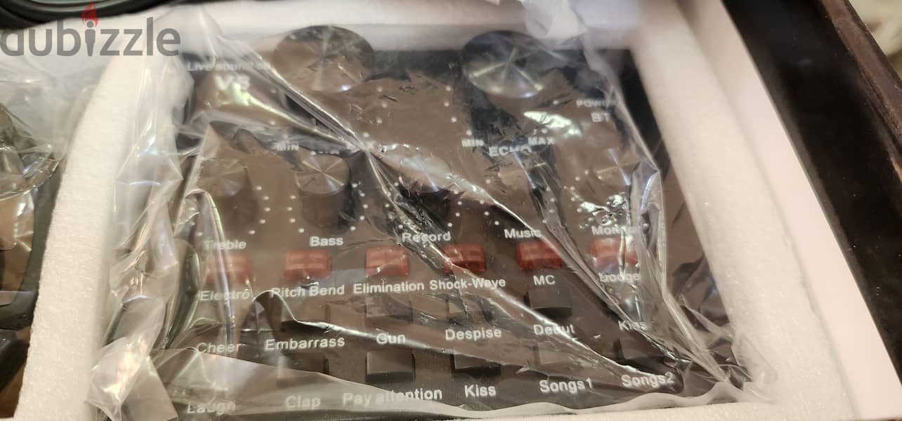 Professional Condenser Micrphone 2