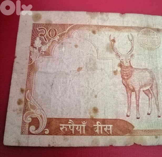 1985 Nepal 20 Rupees banknote 3