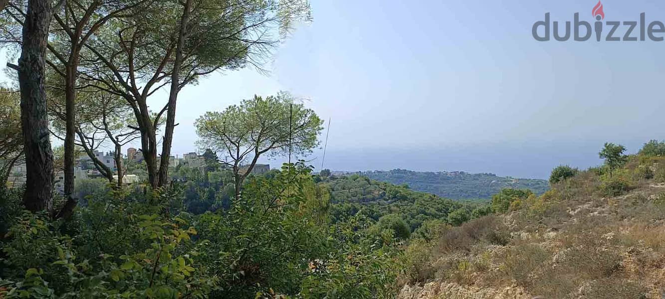 Land | Bekhaaz | Very Special | أرض للبيع | PLS 25726 0