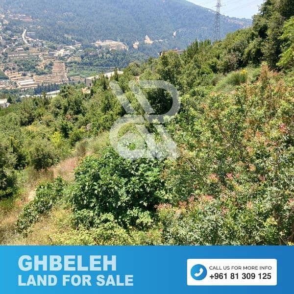 Land for sale in Ghbeleh - غباله 3