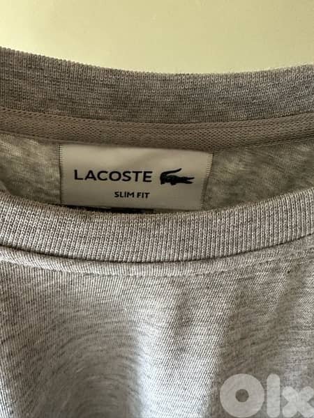Lacoste new tshirt Medium 1