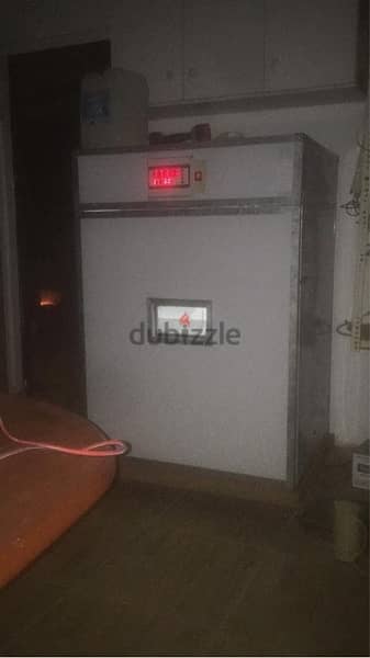 فقاسة ١٠٥٦ بيضة فول اتوماتيك