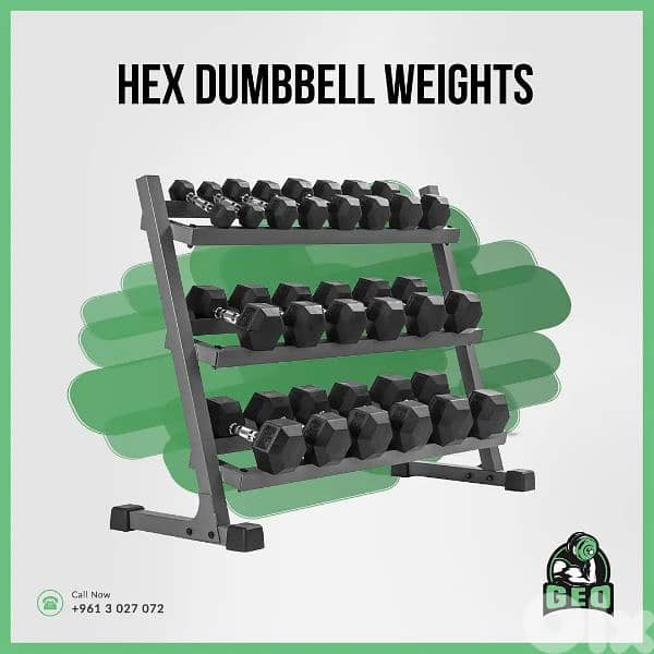 Hexagonal Dumbbells Best prices 03027072 GEO SPORTS 1