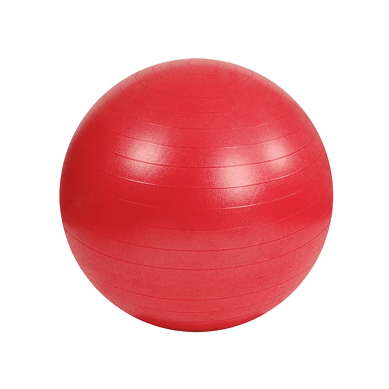 Fitness Art Gym ball 4