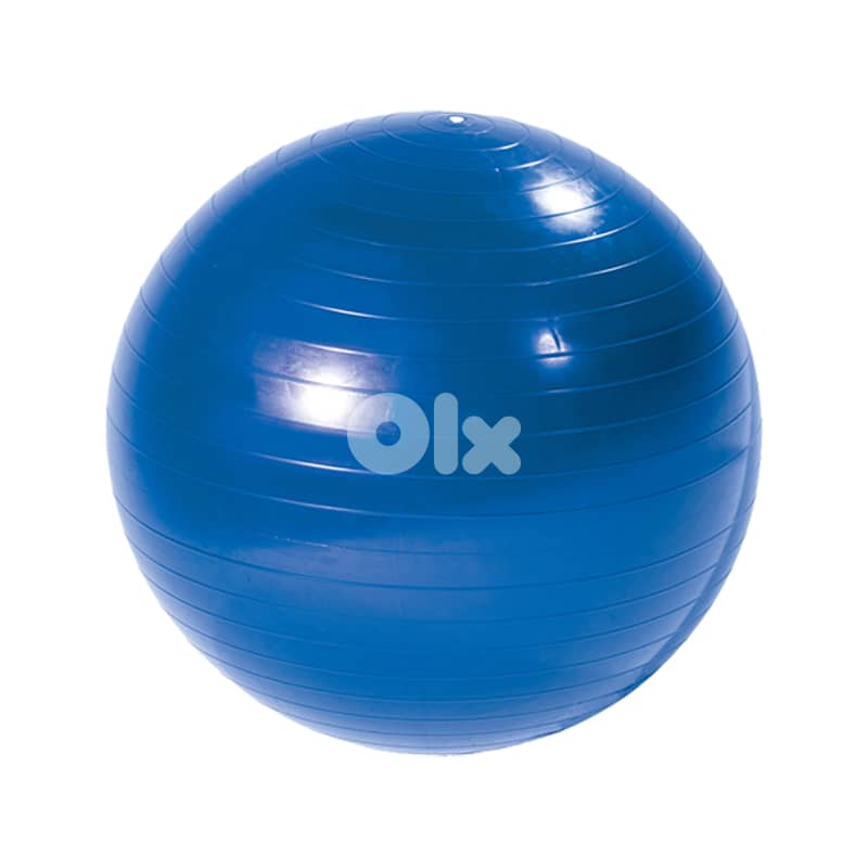 Fitness Art Gym ball 2