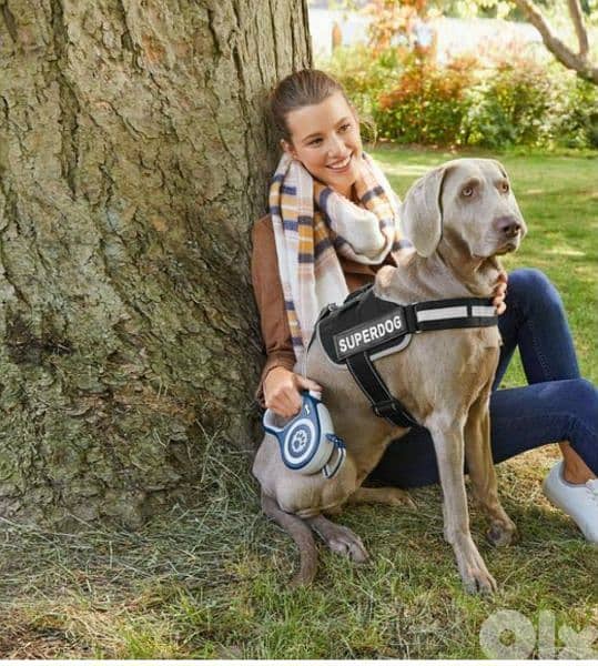 Zoofari Dog Harness Comfortable 2