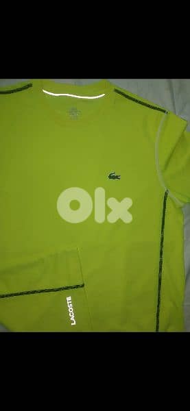 authentic tshirt reflective lacoste S to xxL 3