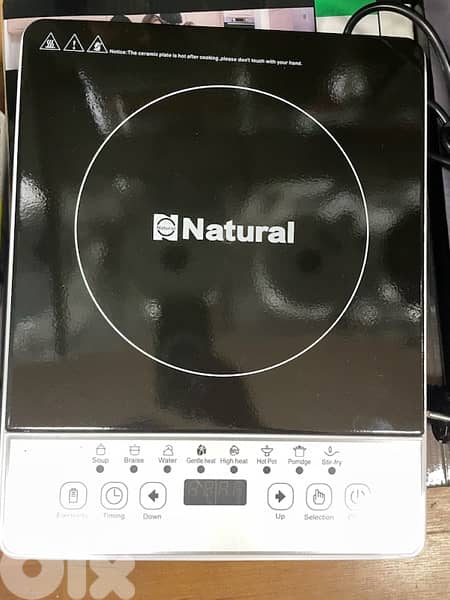 induction electrcal cooker for stainless steel pans only 2