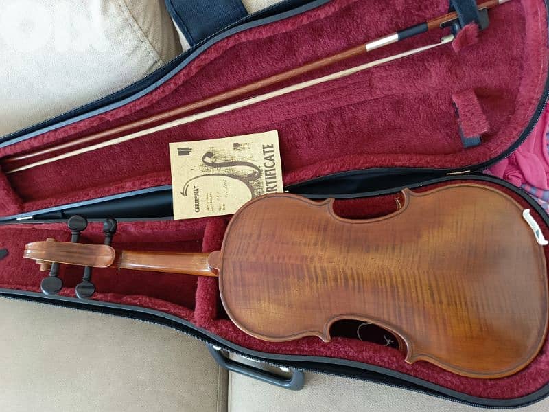 Professional Violin 1