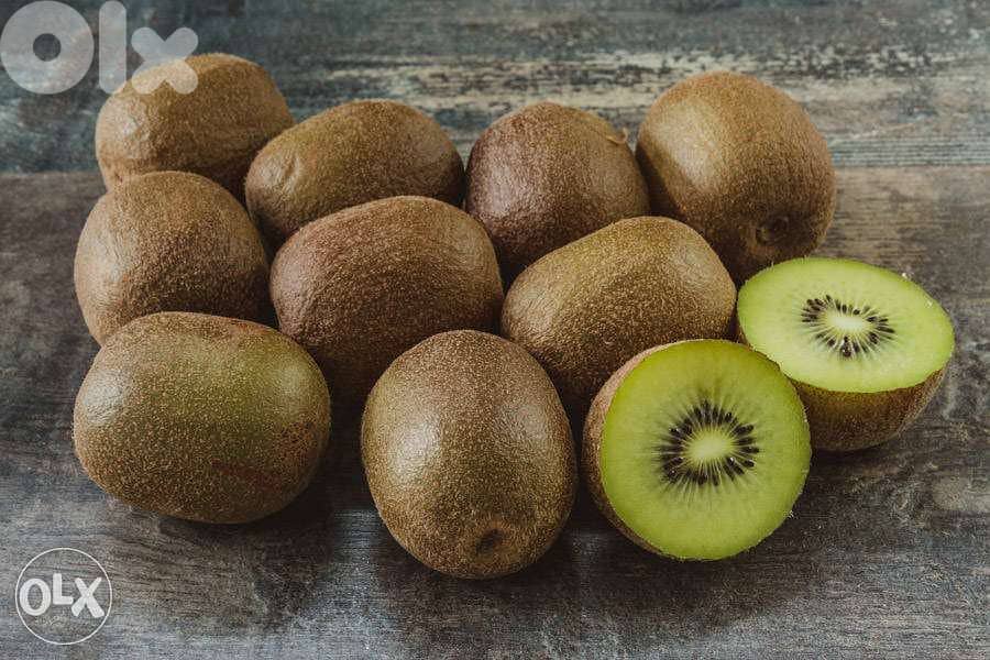 spanish kiwi hayward and gold available كيوي 0