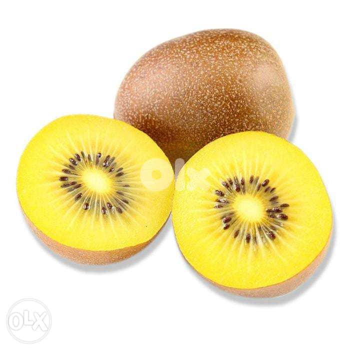 spanish kiwi hayward and gold available كيوي 2
