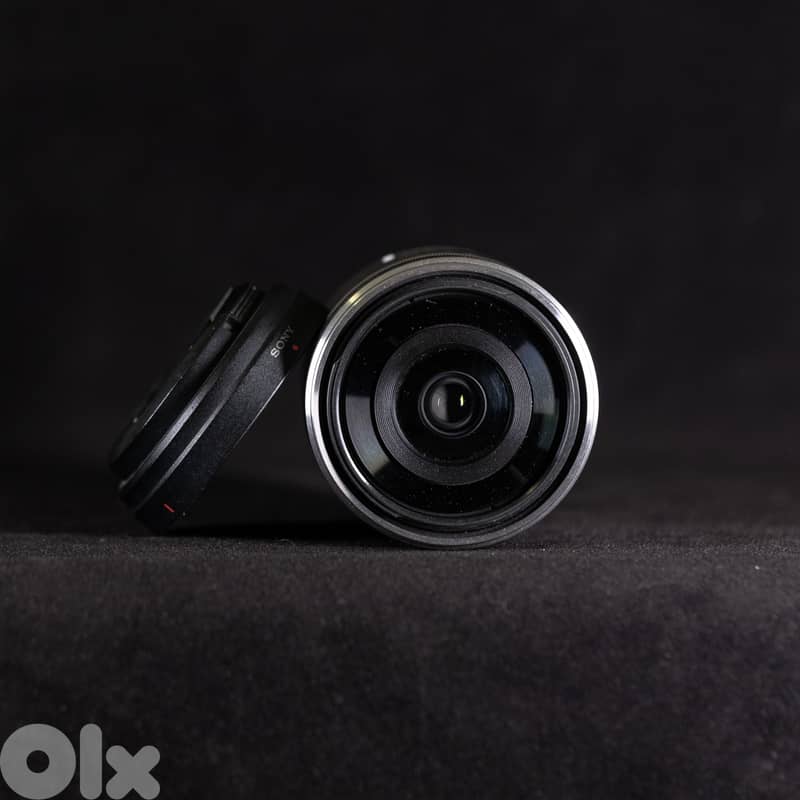 Sony Alpha Nex5n with 1 Lens (Sony 35mm f3.5 Macro) 7