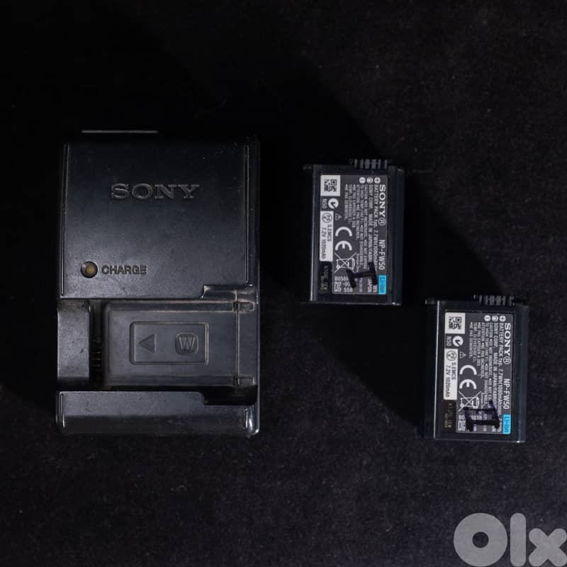 Sony Alpha Nex5n with 1 Lens (Sony 35mm f3.5 Macro) 10