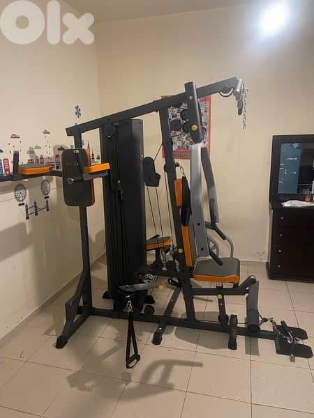 Deluxe Home gym (3 stations) 1