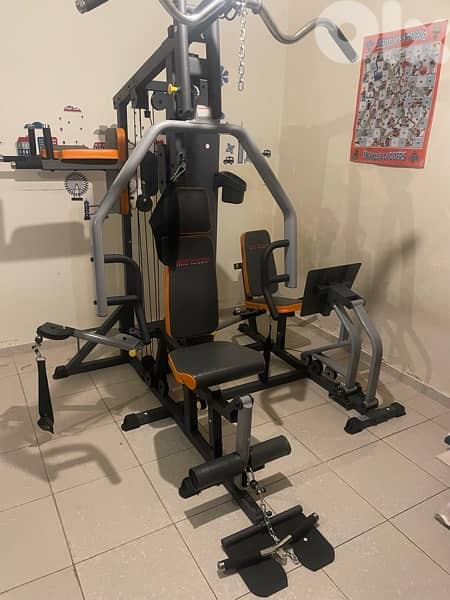 Deluxe Home gym (3 stations) 2
