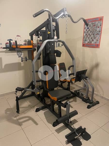 Deluxe Home gym (3 stations) 3