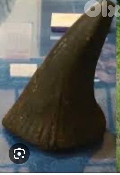 rino for decoration 0