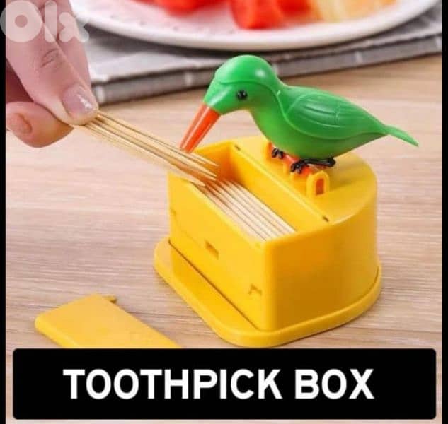 very cute bird curdon catcher 0