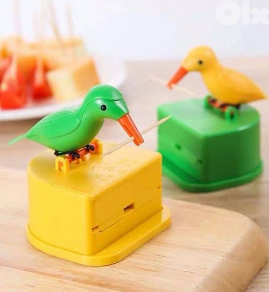 very cute bird curdon catcher 2