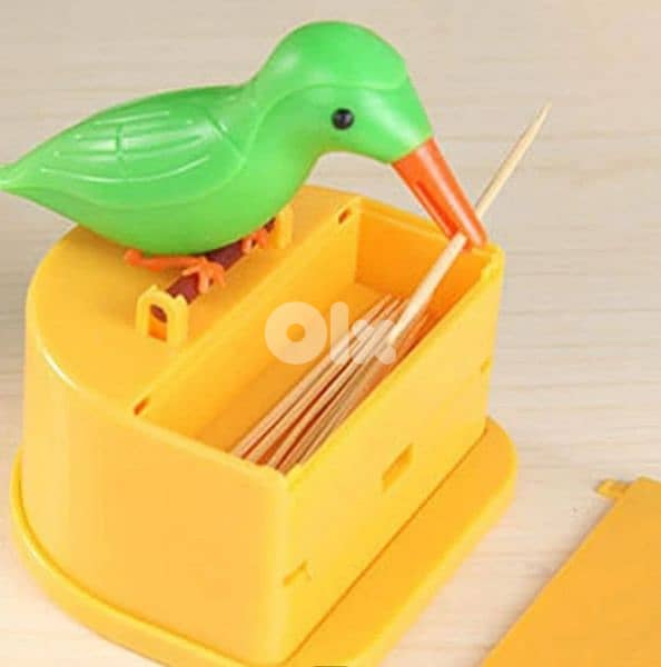 very cute bird curdon catcher 3