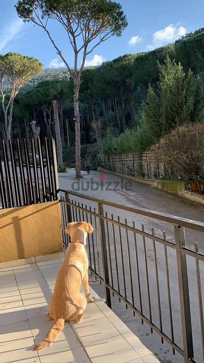 Apartment for sale in Qennabet Baabdat شقة للبيع في قنابة بعبدات