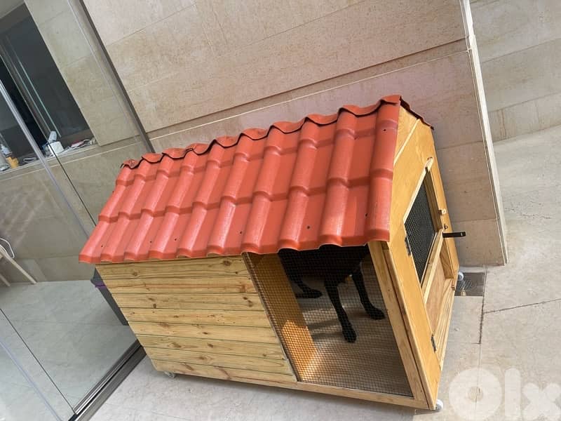 All types of dog houses available جميع انواع بيوت الكلاب 11