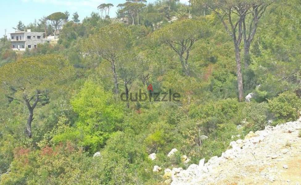 Good deal | Kortada قرطاضة | Amazing View  | Payment Facilities 4