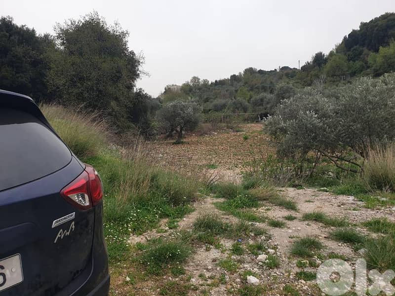 L13049-Land for Sale In Kfifane Batroun 1