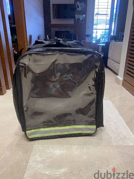 bag for delivery 3