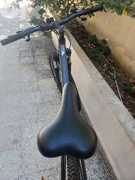 bicycle trinx for sale 3