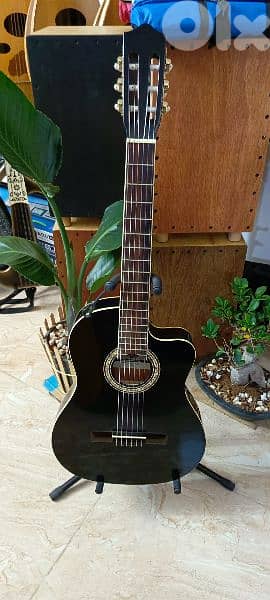 غيتار الكترو كلاسيك مميز 4