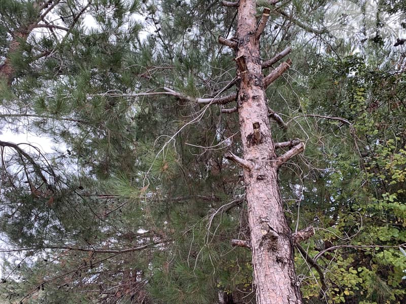 RWB184MT - Land for Sale in Jbeil Blat 3