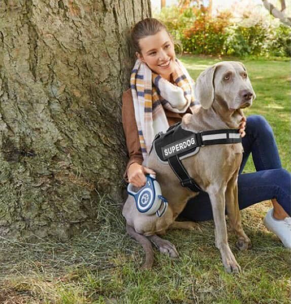 Zoofari Dog harness 1