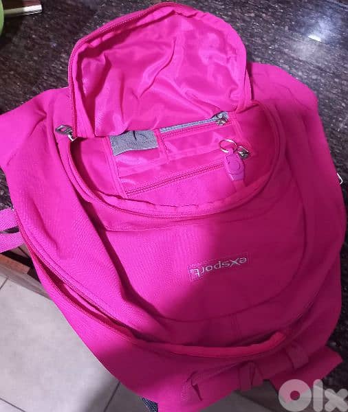 eXsport pink school bag 2