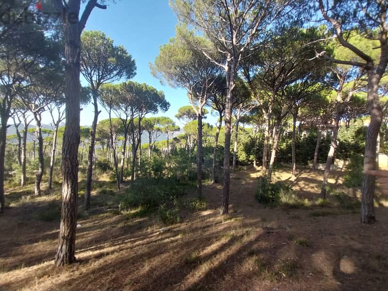 Prime location Land for sale in Ras EL Metn | mountain view رأس المتن 0