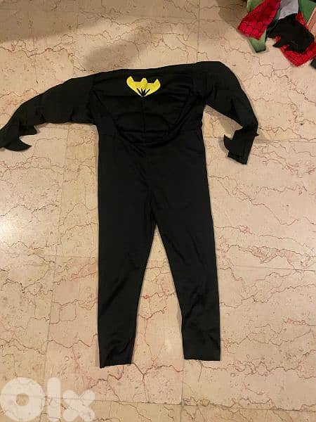 Halloween Costumes 6