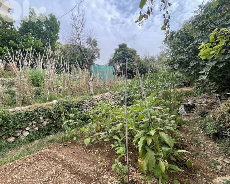 RWK132JA - Land With Old House For Sale In Ghazir 3