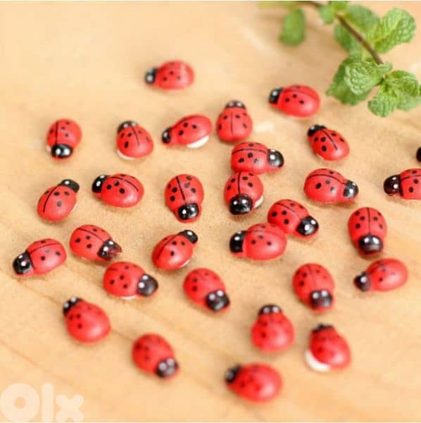 10 pieces set red wood coccinelle home and garden decoration 0