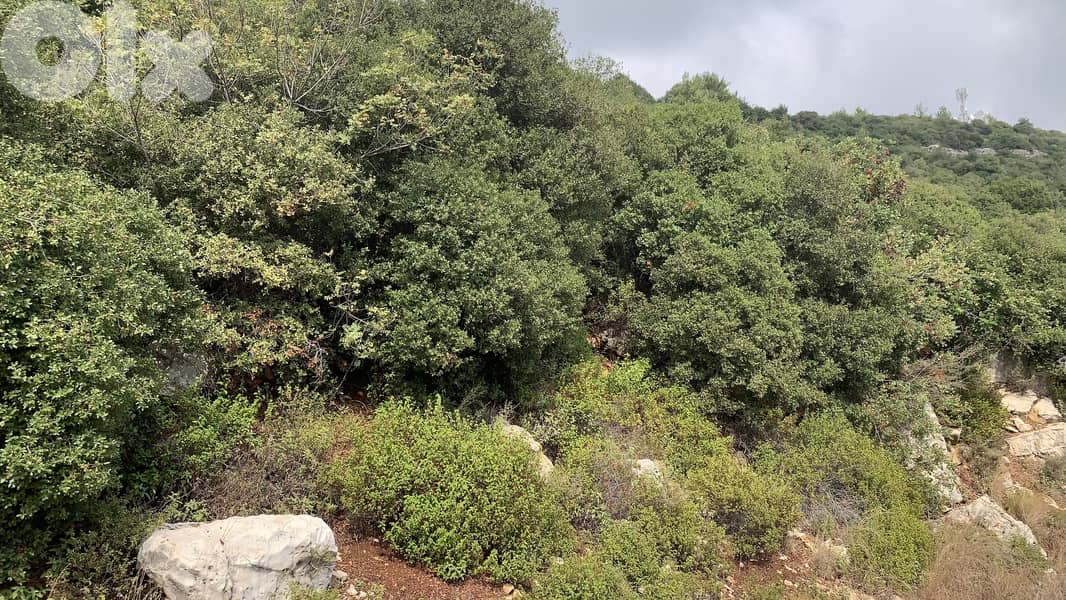 RWB192MT - Land for sale in Blat Jbeil 0