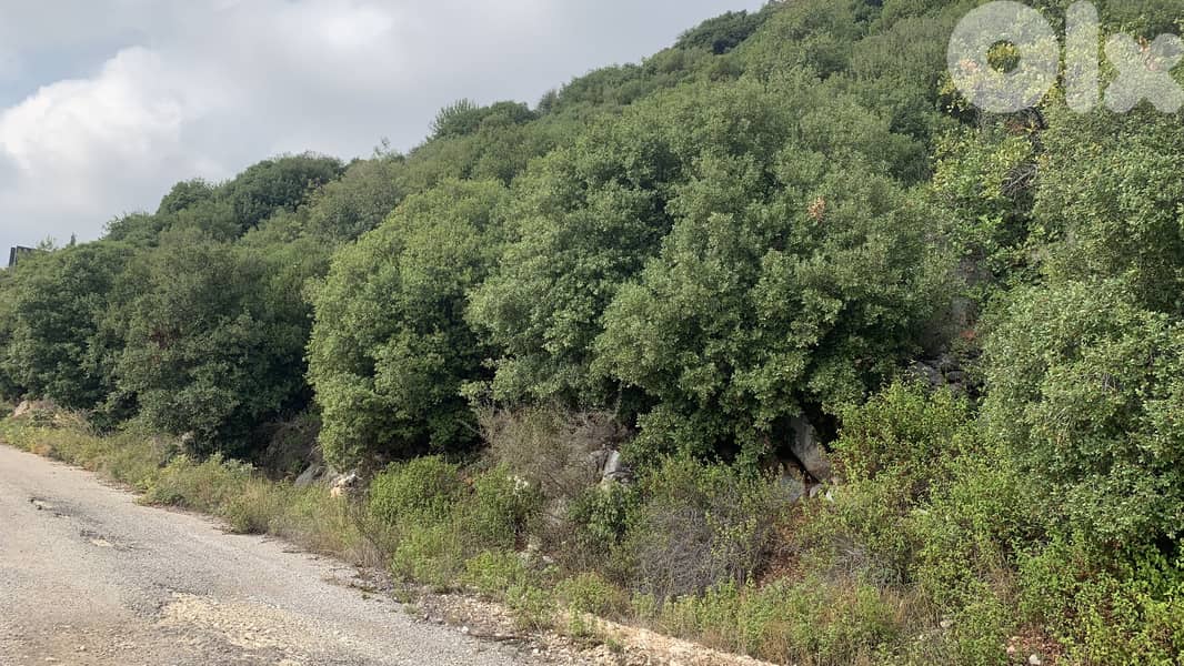 RWB192MT - Land for sale in Blat Jbeil 1