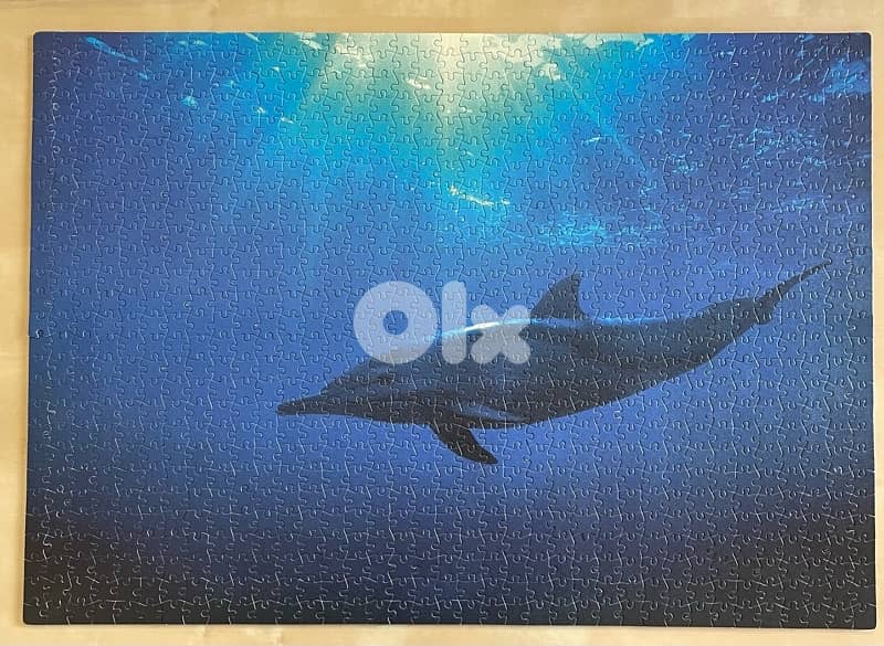Puzzle 1000 Pcs Dauphin 0
